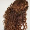 Braided Hairstyles With Curly Hair (Photo 3 of 15)