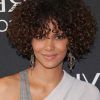 Curly Short Hairstyles For Black Women (Photo 14 of 25)