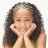 Braided Hairstyles With Curly Hair (Photo 15 of 15)