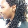 Twists Micro Braid Hairstyles With Curls (Photo 2 of 25)