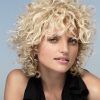 Shaggy Hairstyles For Curly Hair (Photo 13 of 15)