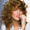 Shaggy Hairstyles For Curly Hair (Photo 14 of 15)
