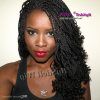 Twists Micro Braid Hairstyles With Curls (Photo 9 of 25)