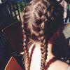 Braided Pigtails (Photo 8 of 15)