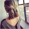 Braided Shoulder Length Hairstyles (Photo 7 of 25)