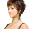 Feathered Pixie Hairstyles For Thin Hair (Photo 19 of 25)