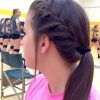 Braided Millennial-Pink Pony Hairstyles (Photo 9 of 25)