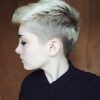 Edgy Ash Blonde Pixie Haircuts (Photo 23 of 25)