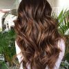Long Hairstyles Brown With Highlights (Photo 5 of 25)