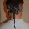 Tapered Tail Braided Hairstyles (Photo 23 of 25)