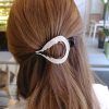 Hair Clips For Thick Long Hairstyles (Photo 12 of 25)