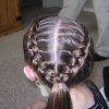 Double Dutch Braids Hairstyles (Photo 4 of 25)