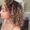 Curly Dark Brown Bob Hairstyles With Partial Balayage (Photo 23 of 25)