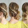 Double Braided Hairstyles (Photo 25 of 25)