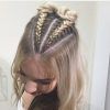 Braided Hairstyles On Top Of Head (Photo 7 of 15)