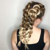 Braided Pigtails (Photo 14 of 15)