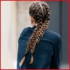 Double-Braided Single Fishtail Braid Hairstyles (Photo 20 of 25)
