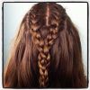 Double French Braid Crown Hairstyles (Photo 11 of 15)