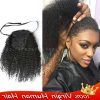 Afro Style Ponytail Hairstyles (Photo 23 of 25)