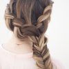 Fishtail Side Braid Hairstyles (Photo 18 of 25)