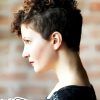 Naturally Curly Short Hairstyles (Photo 7 of 25)