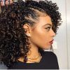 Short Haircuts For Naturally Curly Black Hair (Photo 17 of 25)