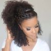 Braided Hairstyles With Curly Hair (Photo 4 of 15)