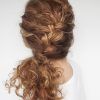 Braids With Curls Hairstyles (Photo 5 of 25)