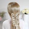 Folded Braided Updo Hairstyles (Photo 8 of 25)