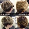 Brunette Pixie Hairstyles With Feathered Layers (Photo 25 of 25)