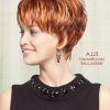 Pixie Haircuts With Shaggy Bangs (Photo 14 of 25)