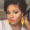 Natural Short Hairstyles For Round Faces (Photo 11 of 25)