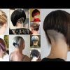 Rounded Bob Hairstyles With Stacked Nape (Photo 12 of 25)