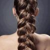 Fancy Braided Hairstyles (Photo 5 of 25)