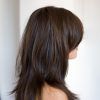 Long Hairstyles Brunette Layers (Photo 19 of 25)