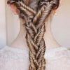 Rope And Fishtail Braid Hairstyles (Photo 14 of 25)