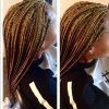 Braided Hairstyles With Color (Photo 12 of 15)