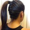 Reverse Braid And Side Ponytail (Photo 6 of 15)