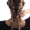 Loose Hair With Double French Braids (Photo 8 of 15)