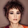 Brunette Pixie Hairstyles (Photo 9 of 15)