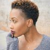 Natural Short Haircuts For Black Women (Photo 1 of 25)