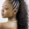 Mohawk Braid And Ponytail Hairstyles (Photo 17 of 25)
