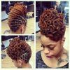 Updo Locs Hairstyles (Photo 3 of 15)