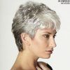 Gray Pixie Afro Hairstyles (Photo 12 of 25)