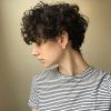 Growing-Out Pixie Haircuts For Curly Hair (Photo 4 of 15)