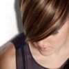 Chestnut Short Hairstyles With Subtle Highlights (Photo 15 of 25)