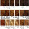 Brown Blonde Sweeps Of Color Hairstyles (Photo 22 of 25)