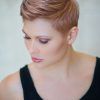 Rose Gold Pixie Hairstyles (Photo 5 of 25)