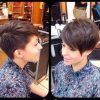 Sculptured Long Top Short Sides Pixie Hairstyles (Photo 17 of 25)