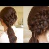Loose Double Braids Hairstyles (Photo 14 of 25)
